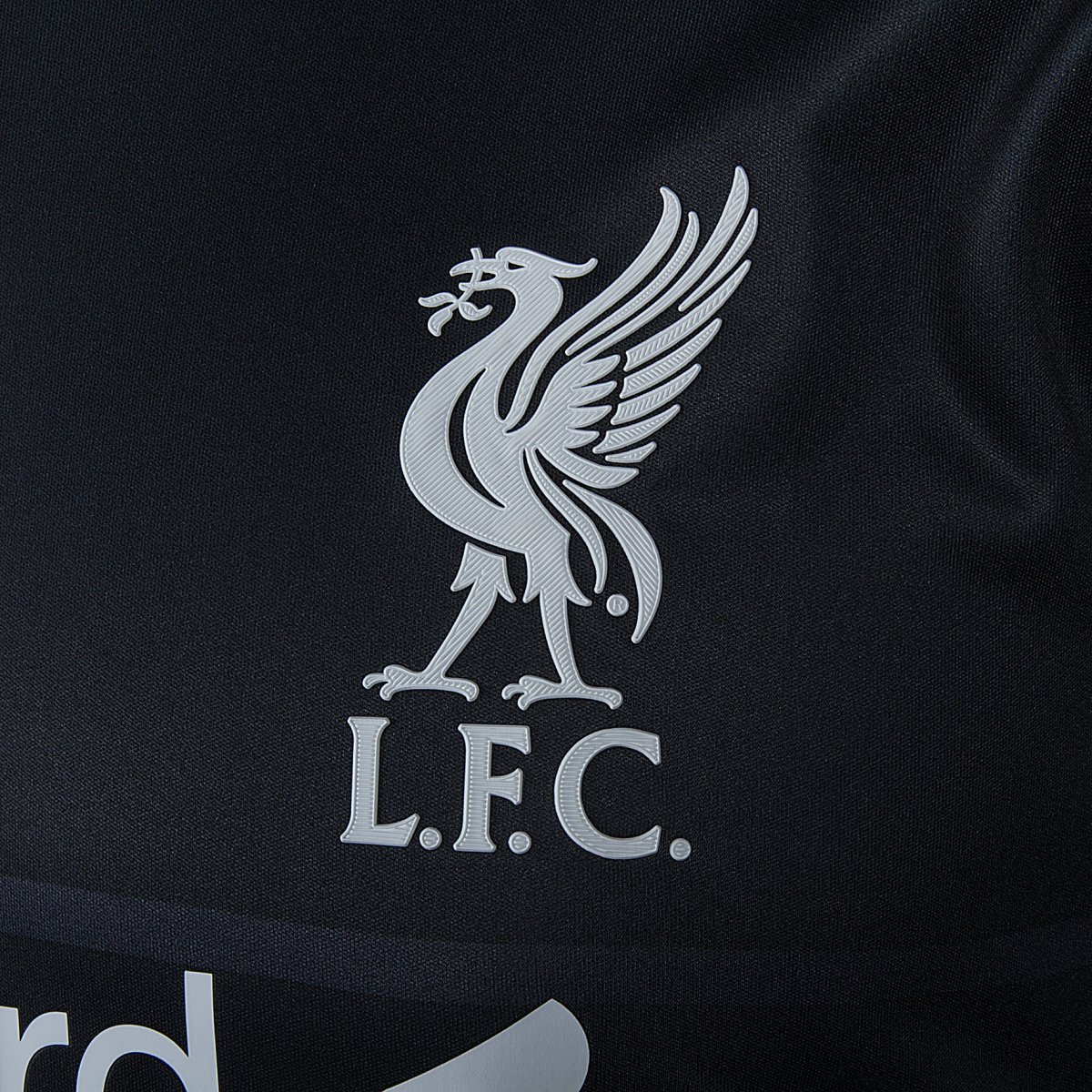 Liverpool FC 2015-16 Third Kit