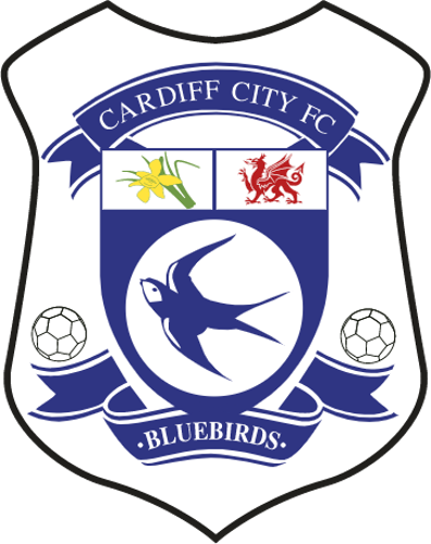 Cardiff City Logo Paint By Numbers 