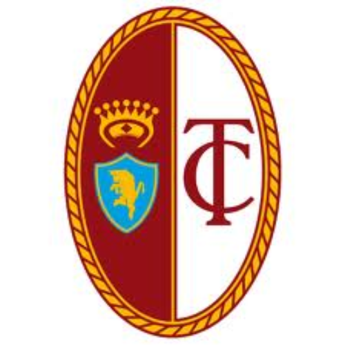 Torino Logo and symbol, meaning, history, PNG, brand