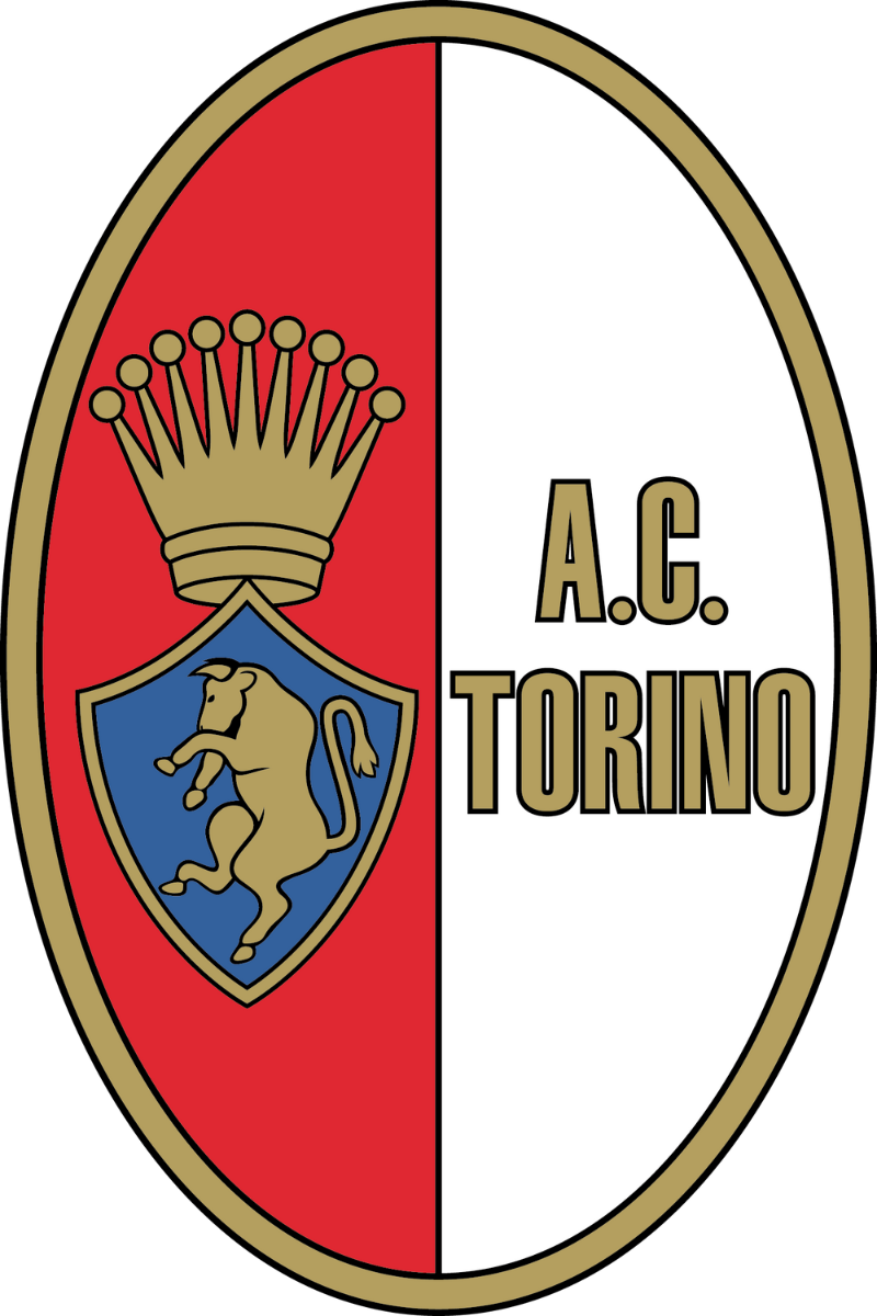 Torino Logo History