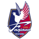 Fagiano Okayama