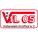 VfL 05 Hohenstein Futsal