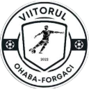 AS Viitorul Ohaba Forgaci