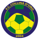 FC Collina d'Oro