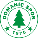 Domaniç Spor