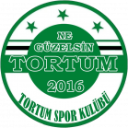 Tortum Spor