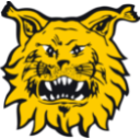 Tampereen Ilves